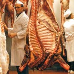Transarea industriala a carnii