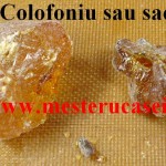 Colofoniu sau sacâz_