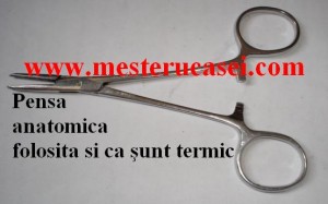 Pensa anatomica