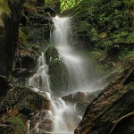 O frumoasa cascada pe Lotru