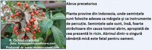 4-Ochiul crabului